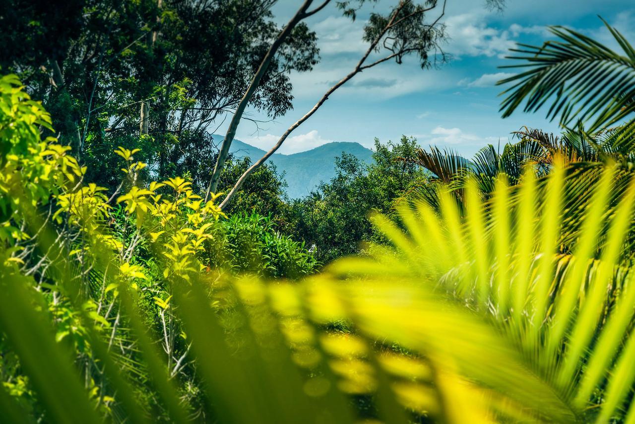 Bella Vista Bellingen Acomodação com café da manhã Exterior foto